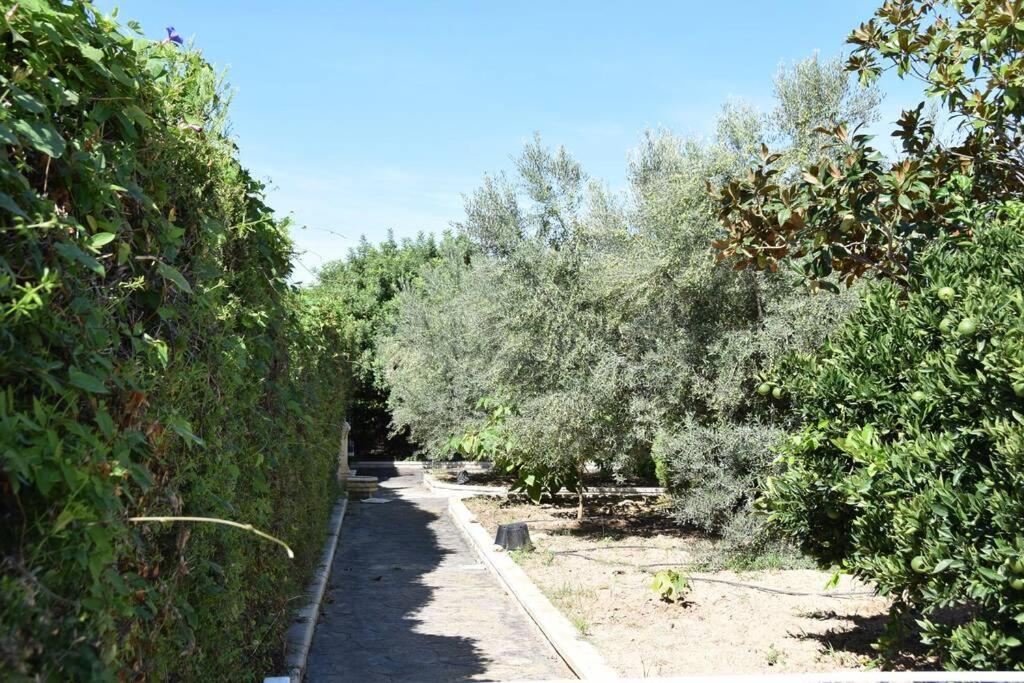 Acogedora Casa Rural con Piscina Segorbe  Exterior foto